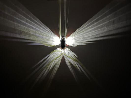 Eagle Design Wall Lamp with Remote Control